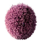 Actiporine 8G (Актипорин 8G) - для плотности коллагена Actiporine 8G (Актипорин 8G) - для плотности коллагена