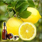 Лимон итальянский эфирное масло (Italian Lemon Essential Oil) Лимон итальянский эфирное масло (Italian Lemon Essential Oil)
