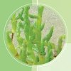 HYDRASALINOL (Гидрасалинол) - новый эффективный увлажнитель кожи, 2 мл HYDRASALINOL (Гидрасалинол) - новый эффективный увлажнитель кожи, 2 мл