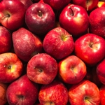 Экзосомы экстракта яблока (AC ExoTone) Экзосомы экстракта яблока (AC ExoTone)