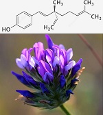 Бакучиол (Bakuchiol) 99%, Испания, 2 мл Бакучиол (Bakuchiol) 99%, Испания, 2 мл
