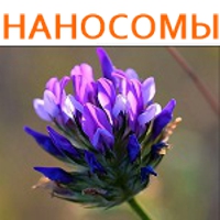 БАКУЧИОЛ (BAKUCHIOL) в наносомах БАКУЧИОЛ (BAKUCHIOL) в наносомах