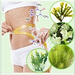 Bio-Slim PF (Био-Слим) Bio-Slim PF (Био-Слим)