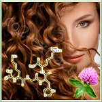 Capixyl™ (Капиксил), Lucas Meyer Cosmetics Capixyl™ (Капиксил), Lucas Meyer Cosmetics