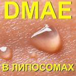 ДМАЭ (DMAE) в липосомах Micellar Lifting ДМАЭ (DMAE) в липосомах Micellar Lifting