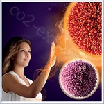 Early Boost PE (Эрли Буст) - источник таурина, против гусиных лапок Early Boost PE (Эрли Буст) - источник таурина, против гусиных лапок