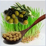 Filagrinol (Филагринол) - модулятор активности филаггрина Filagrinol (Филагринол) - модулятор активности филаггрина