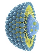 Ретинол (Retinol) в липосомах 10% Ретинол (Retinol) в липосомах 10%