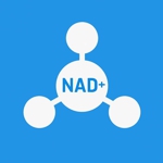 NAD+ (НАД плюс) Nicotinamide adenine dinucleotide NAD+ (НАД плюс) Nicotinamide adenine dinucleotide