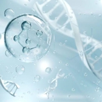 Peptide 15 Complex (Комплекс 15 пептидов), Корея Peptide 15 Complex (Комплекс 15 пептидов), Корея