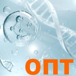 Peptide 15 Complex (Комплекс 15 пептидов) ОПТ Peptide 15 Complex (Комплекс 15 пептидов) ОПТ