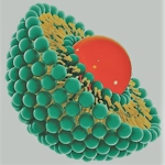 Ретинол в липосомах (Retinol Liposome System) пастообразный Ретинол в липосомах (Retinol Liposome System) пастообразный