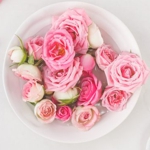 Роза биоферментированная Роза биоферментированная