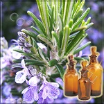 Сверхкритический CO2 экстракт розмарина (10% карнозоловой кислоты и карнозола) Сверхкритический CO2 экстракт розмарина (10% карнозоловой кислоты и карнозола)