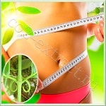 Uncaryl (Ункарил) - мультиактив, антиоксидант, ингибитор липопротеинов, противовоспалительный агент, 20 г Uncaryl (Ункарил) - мультиактив, антиоксидант, ингибитор липопротеинов, противовоспалительный агент, 20 г