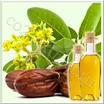 Жожоба Голден масло нерафинированное, Израиль Жожоба Голден масло нерафинированное, Израиль