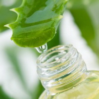 Алоэ Вера гель 10:1, КНР, 50 г Алоэ Вера гель 10:1, КНР, 50 г