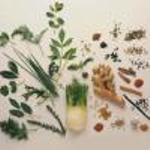 Комплекс фитостеролов сухой (95% активного вещества) Комплекс фитостеролов сухой (95% активного вещества)