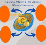 Витамин С в нанолипосомах (Ascorbyl Palmitate в нанолипосомах ) Жирорастворимая форма Витамин С в нанолипосомах (Ascorbyl Palmitate в нанолипосомах ) Жирорастворимая форма